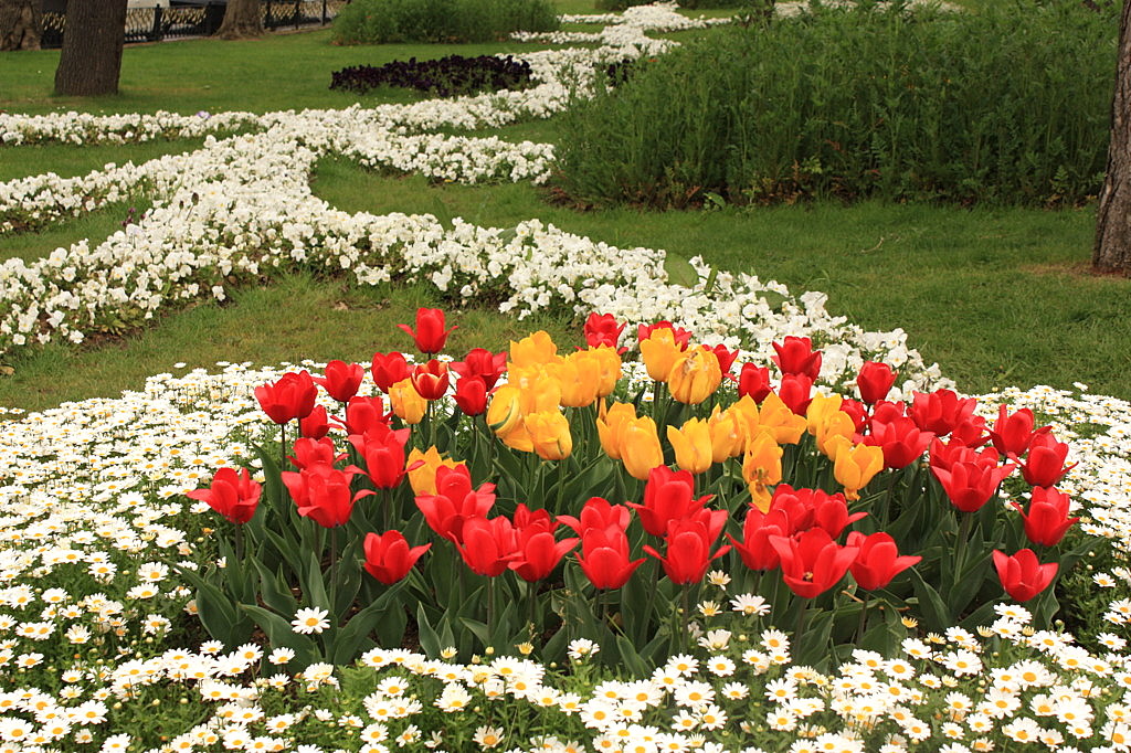 The tulip time in Istanbul